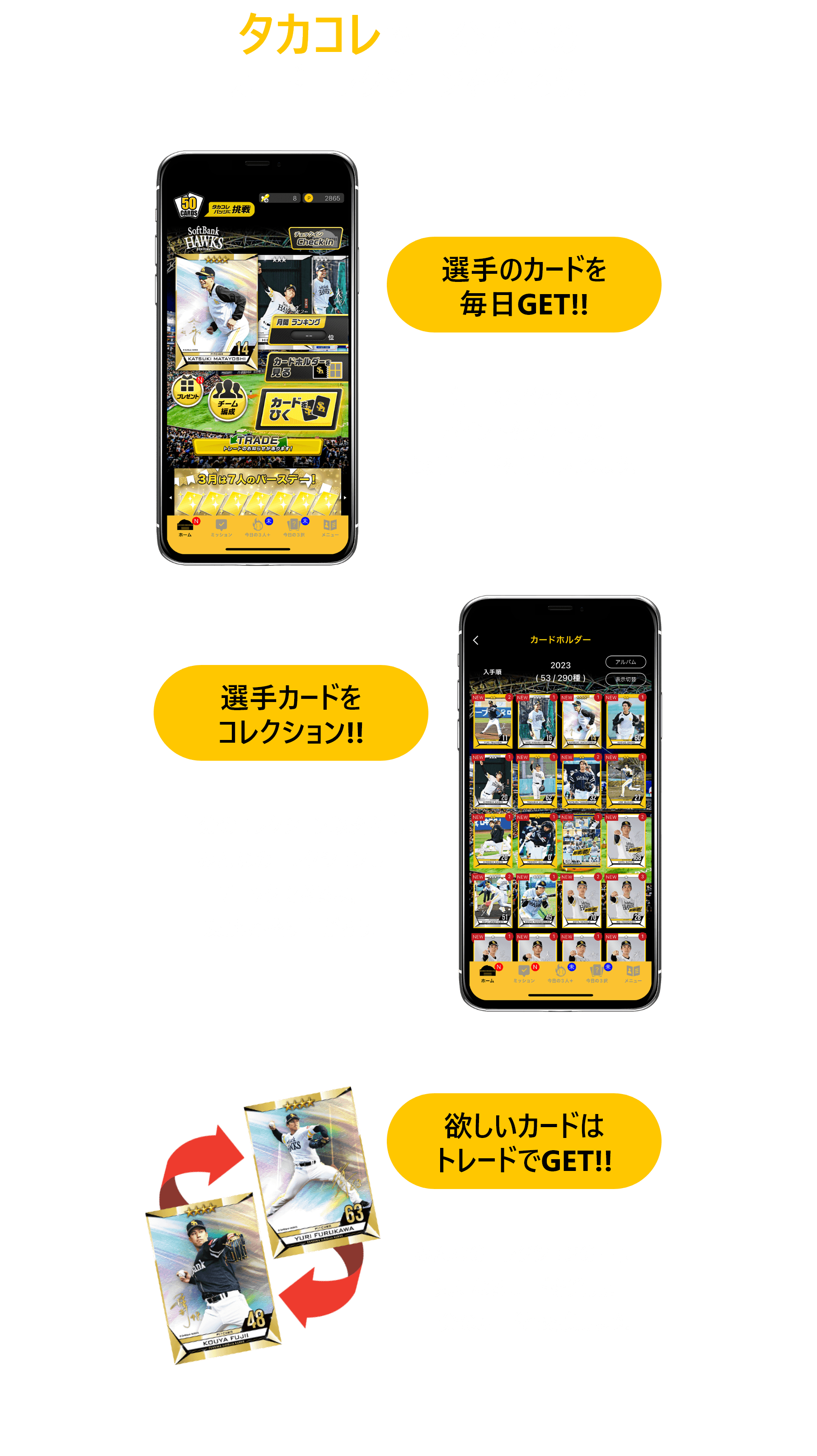 タカコレで自分ら毛のカードコレクションを作ろう！