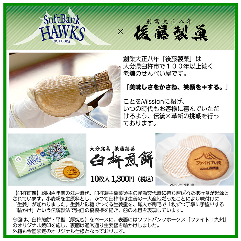 臼杵煎餅10枚入3