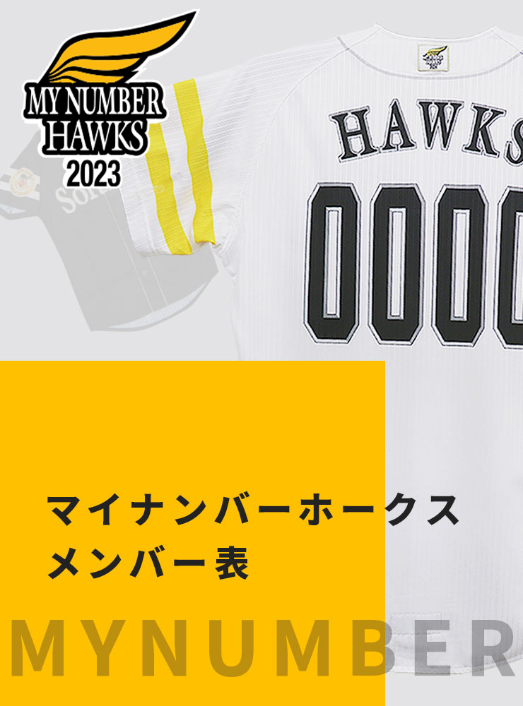マイナンバーホークスメンバー表
