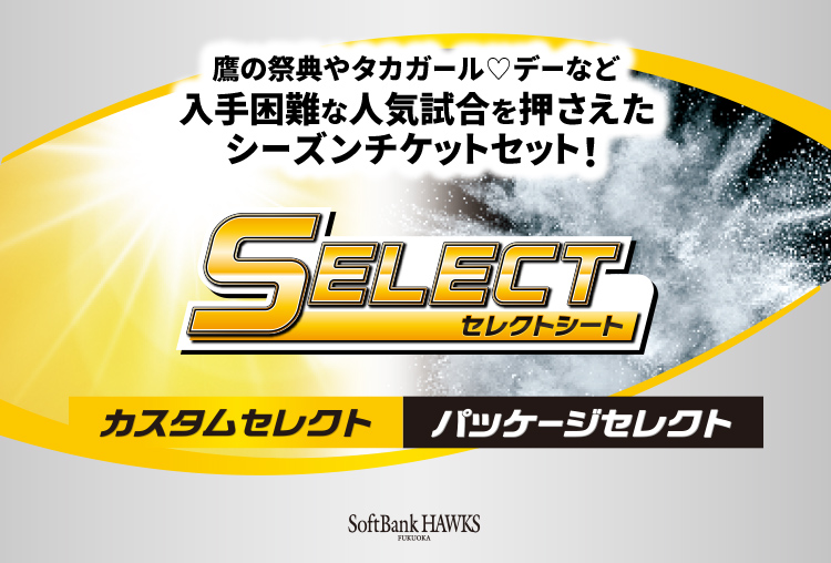 セレクトシート2023　カスタムセレクト パッケージセレクト